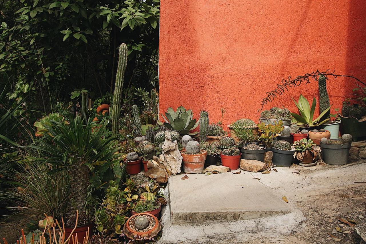 Cabana Campestre En Oaxaca Eksteriør billede